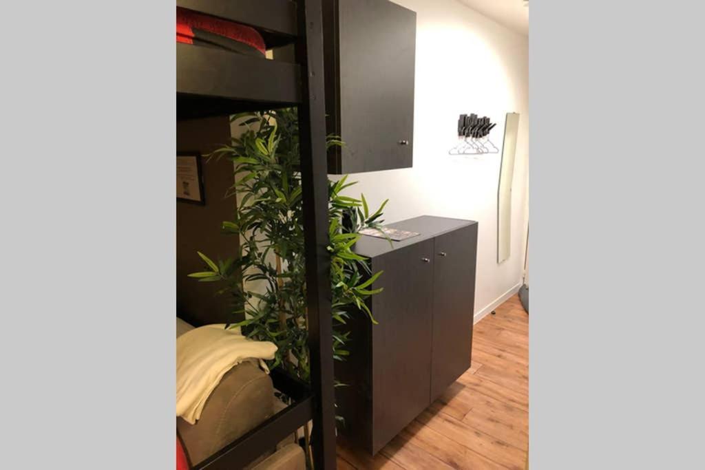 Nice Studio Near Mickey, Disneyland At 5Mn 蒙泰夫兰 外观 照片